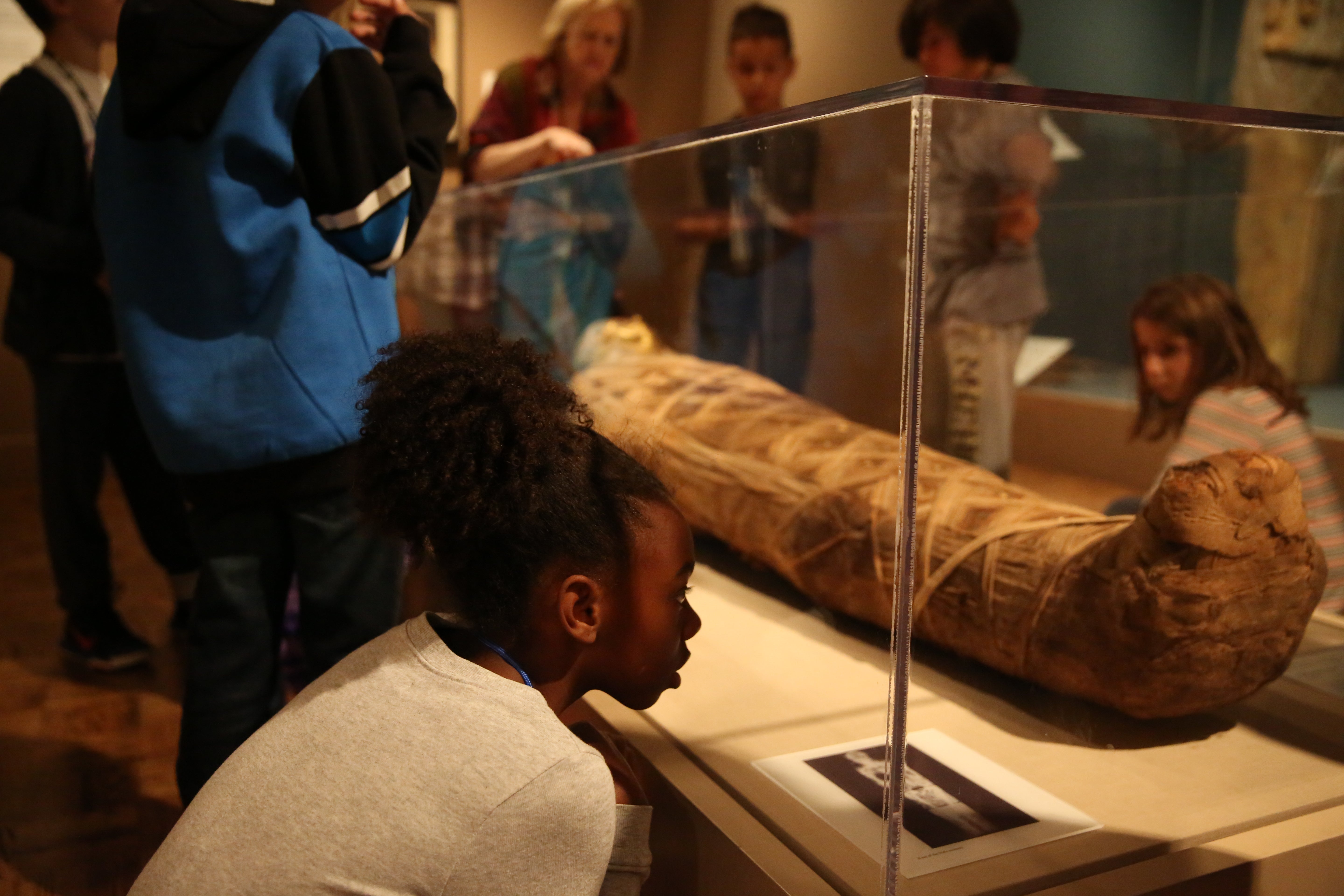 A young girl kneeling down to better observe a mummy in the Egyptian galleries