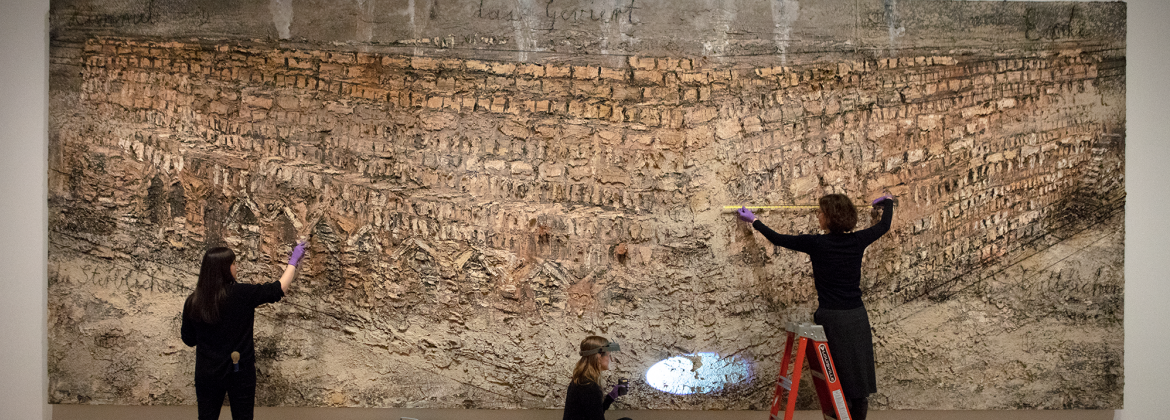 Conservation work happening