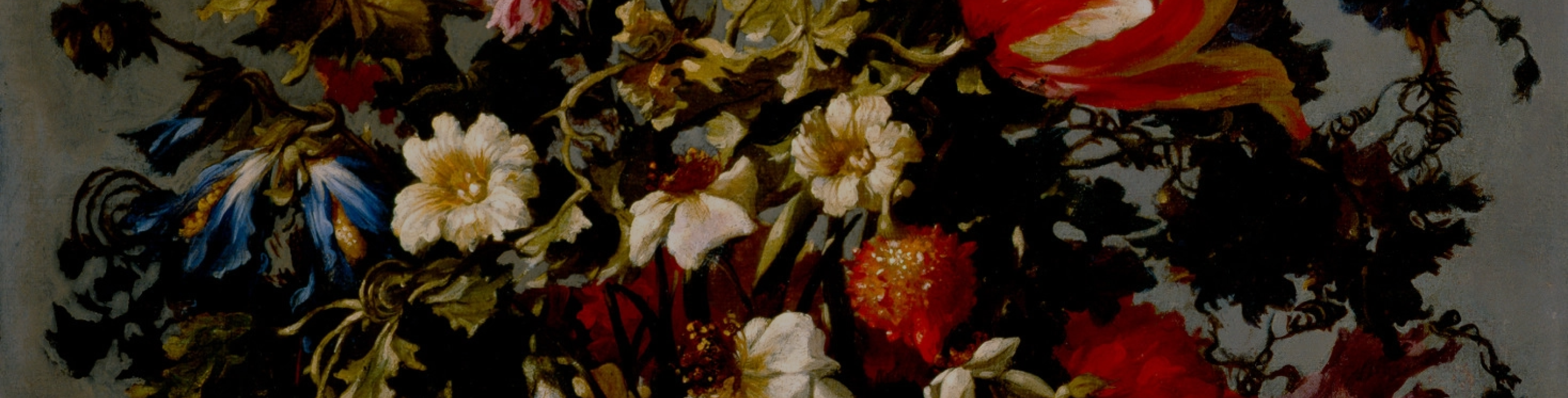 Events Membership Banner Background Image