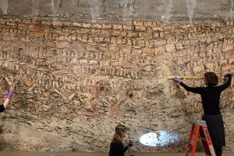 Conservation work happening