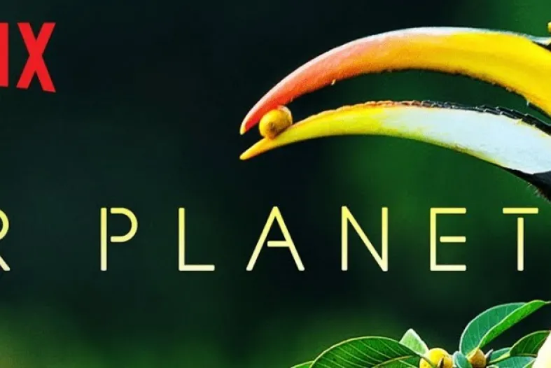 Our Planet