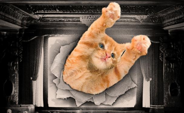 An edited image of a cat clawing out of a film theater screen