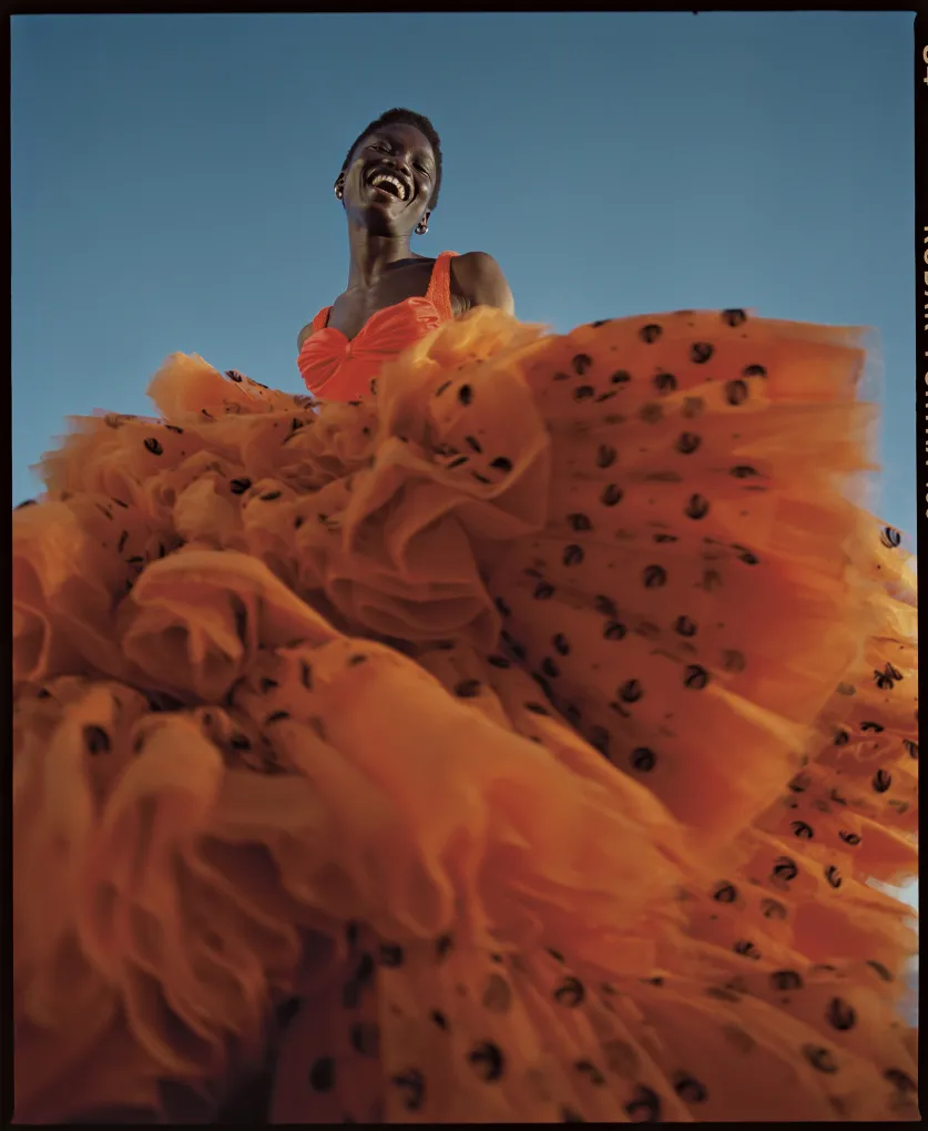 Nadine Ijewere, Joy as an Act of Resistance, 2018