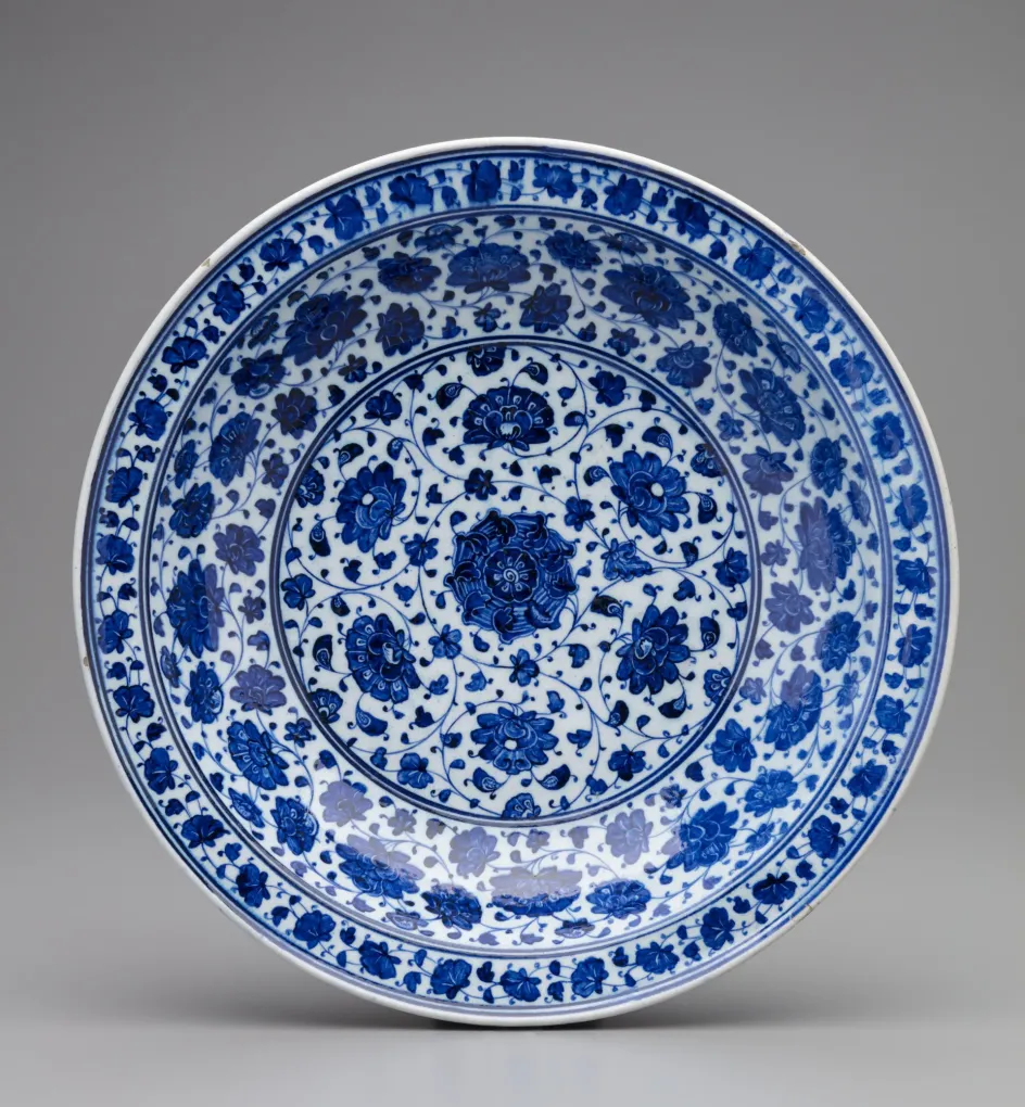 Dish
