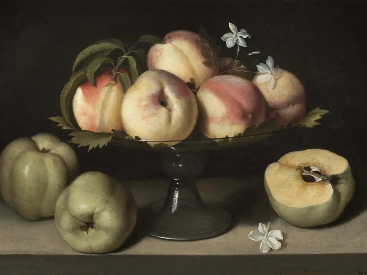 Fede Galizia, :Glass Tazza with Peaches, Jasmine Flowers and Apples,&quot; 1607, oil on panel. Montreal Museum of Fine Arts, Gift of Mr. and Mrs. Michal Hornstein, 2015.19