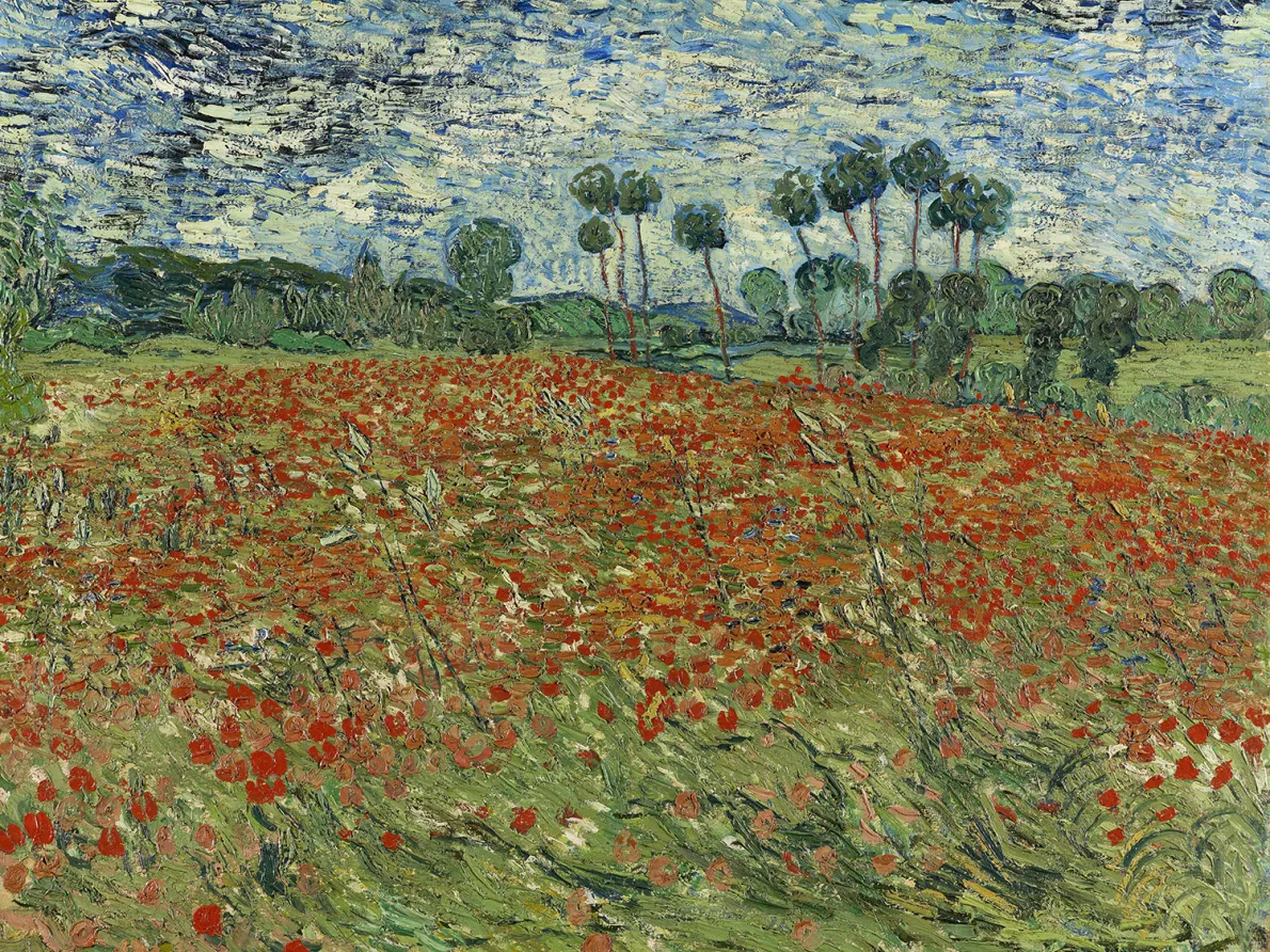 Vincent van Gogh (Dutch, 1853–1890). Poppy Field, 1890. Oil on canvas; 28 3/4 x 36 1/8 in. (73 × 91.5 cm). Kunstmuseum Den Haag, The Hague, long-term Loan Cultural Heritage Agency of the Netherlands, SCH-1948x0003.