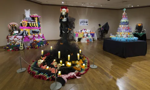 Many ofrendas altars on display at the DIA