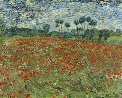 Poppy Field, 1890 — Vincent van Gogh
