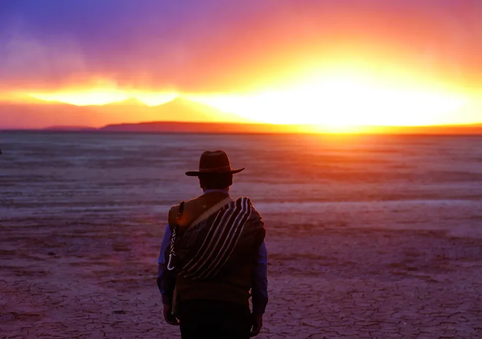 A figure in a cowboy style hat stands in a vast desert, facing away towards the sunset.