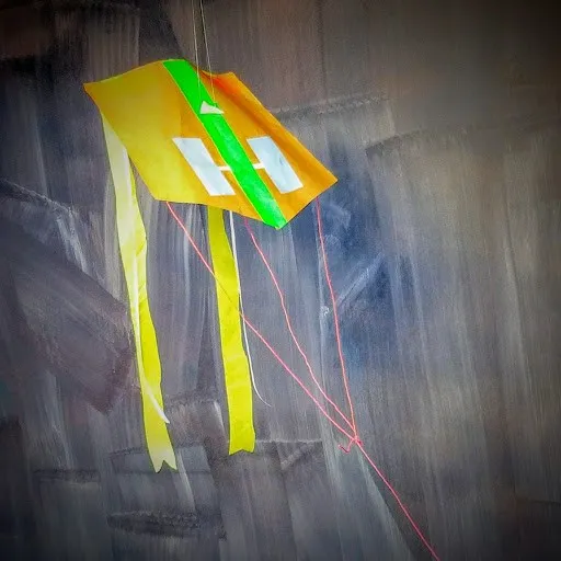 An example of a trefoil kite