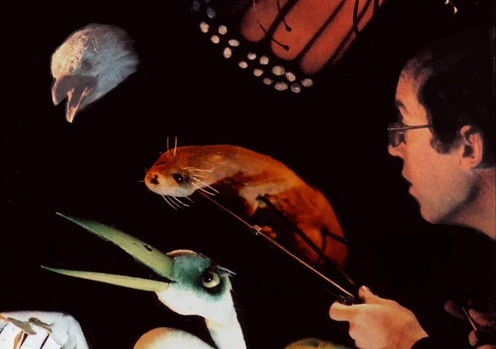 Puppets of an otter, eagle, and monarch butterly, among others.