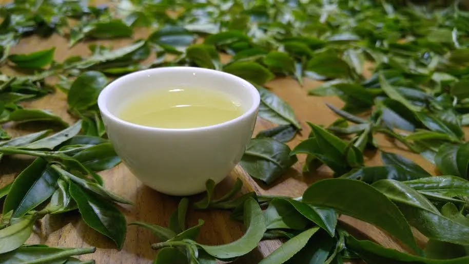 A white tea cup with green tea surrounded by leaves