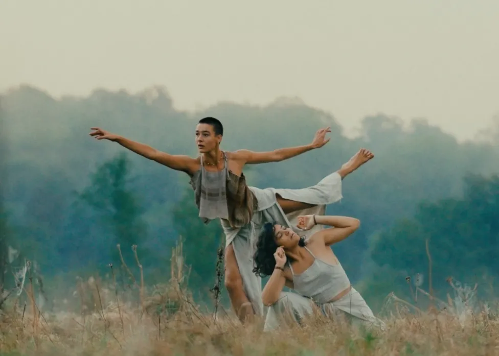 Two dancers in a foggy field