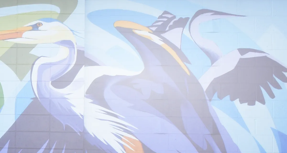 Apply to be a Community Partner