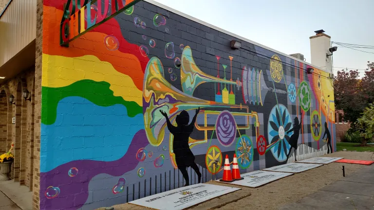 The Rainbow Maker 2020