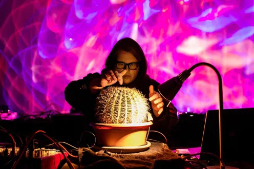 A person touching a cactus with a light show behind them