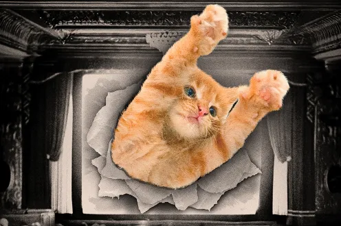 An edited image of a cat clawing out of a film theater screen