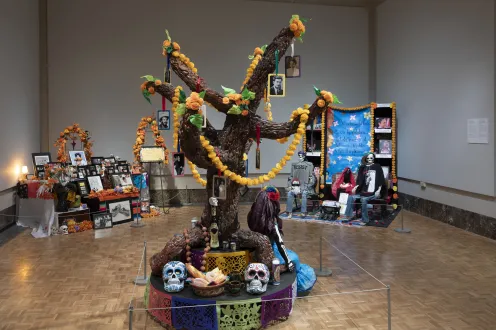 Ofrendas installations during a prior year at the DIA