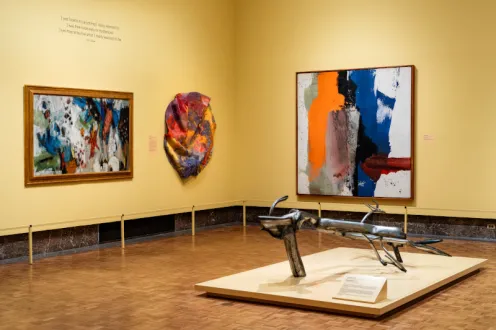 A shot of the newly reinstalled African American galleries at the DIA